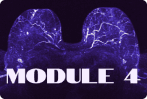 B2 and B3 lesions on an MRI