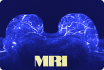 Breast MRI (5 modules in the entire course)