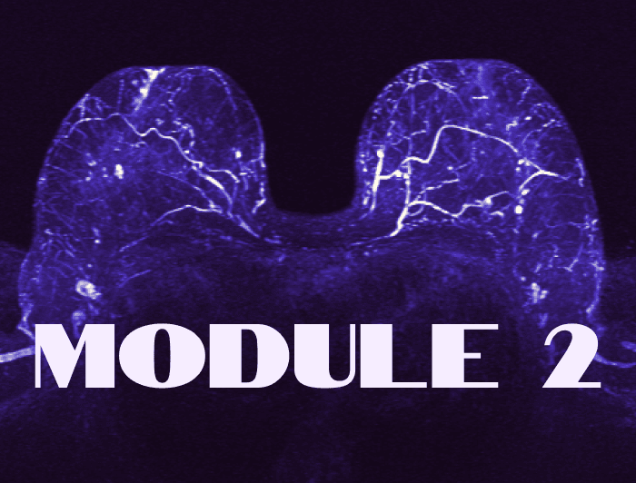 Sequences and Typical Findings on Breast MRI
